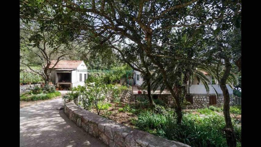 Villa Franic Saplunara Zewnętrze zdjęcie